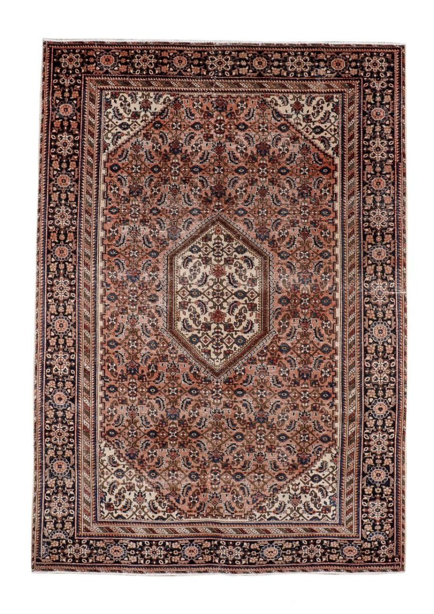 Persian Ardabil Rug | 6' 9
