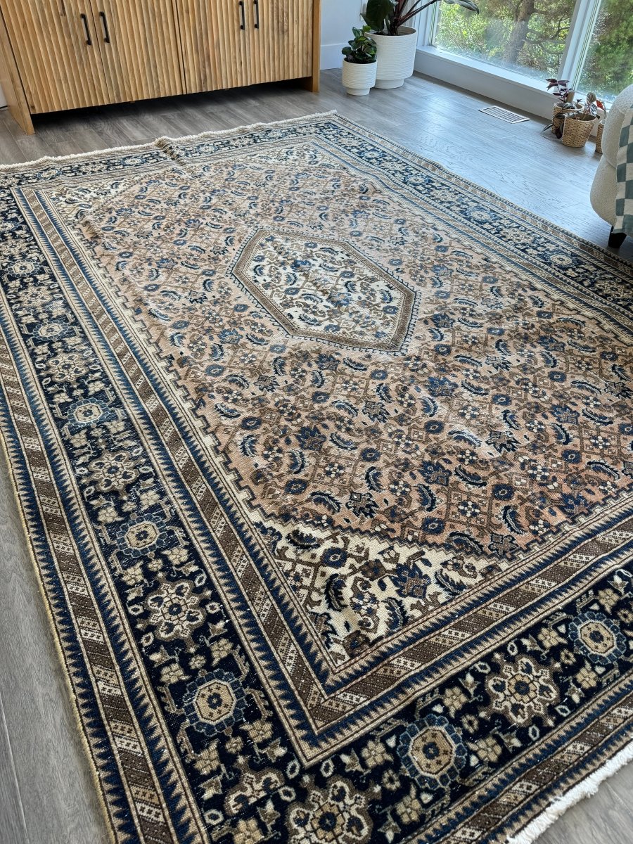 Persian Ardabil Rug | 6' 9