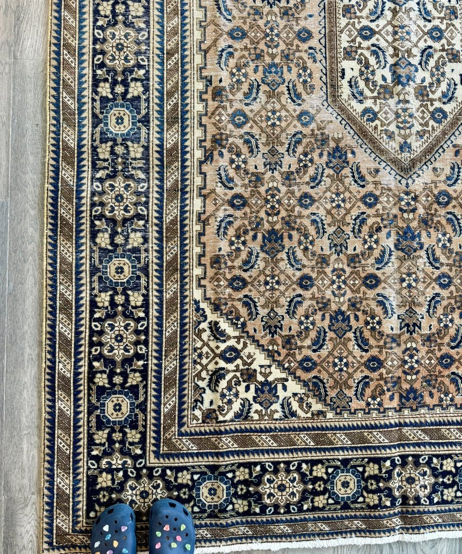 Persian-style rug corner with navy border and cream medallion motifs
