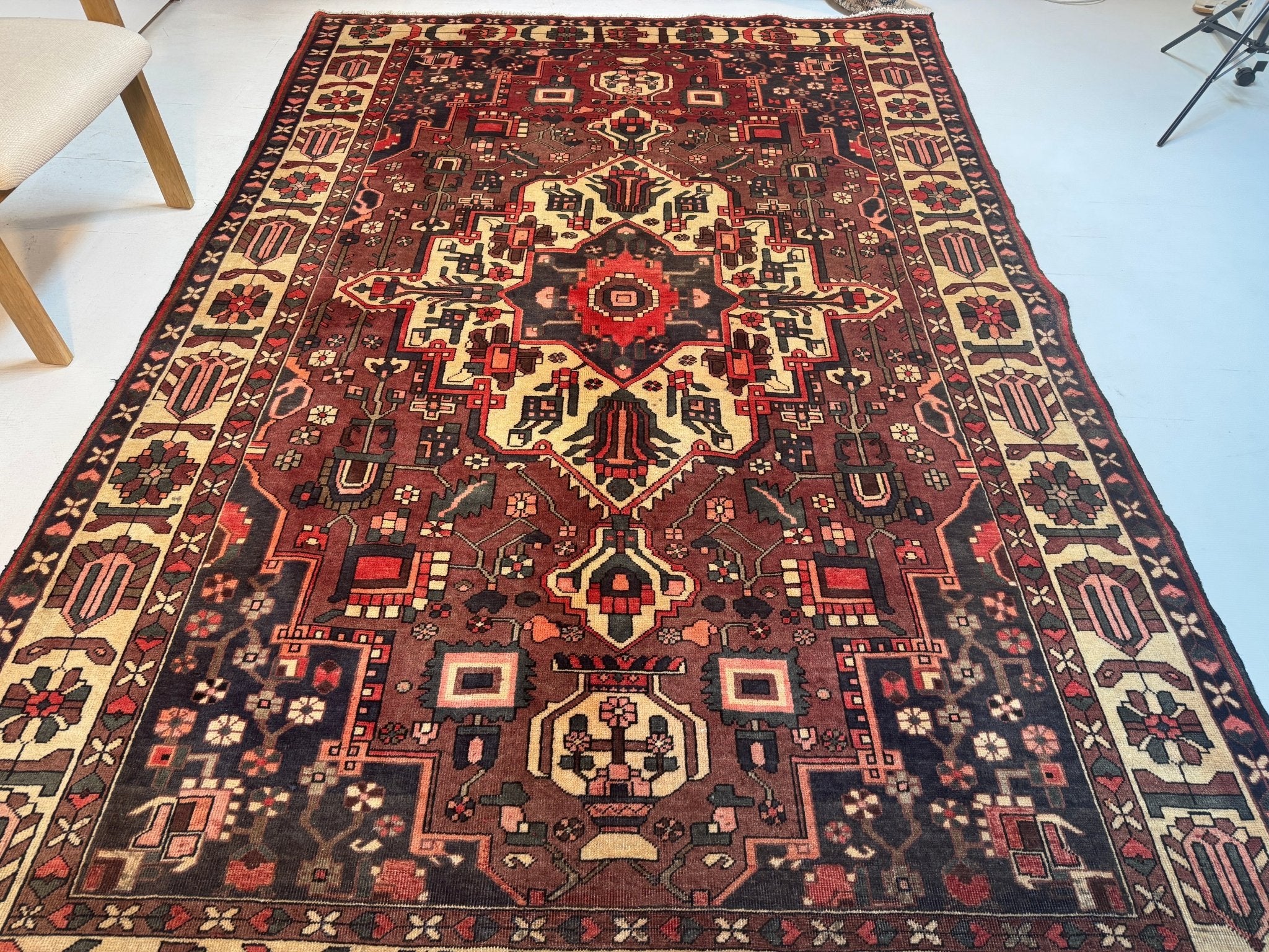 Persian Bakhtiar Rug | 6' 4” x 9' 7" - Rug the Rock - 