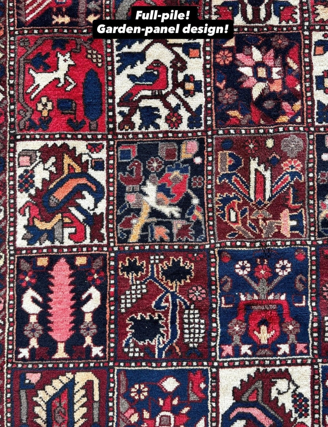 Persian Bakhtiari Rug | 5' 1" x 9' 6" - Rug the Rock - available