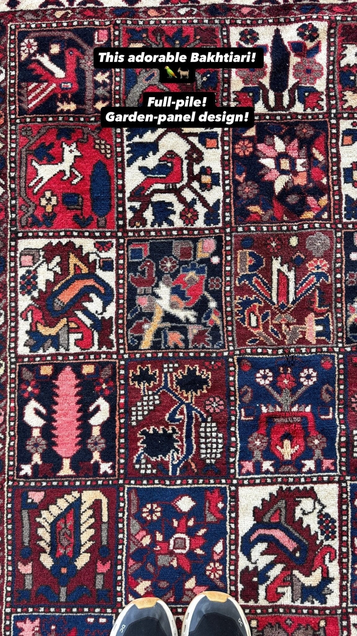 Persian Bakhtiari Rug | 5' 1" x 9' 6" - Rug the Rock - available