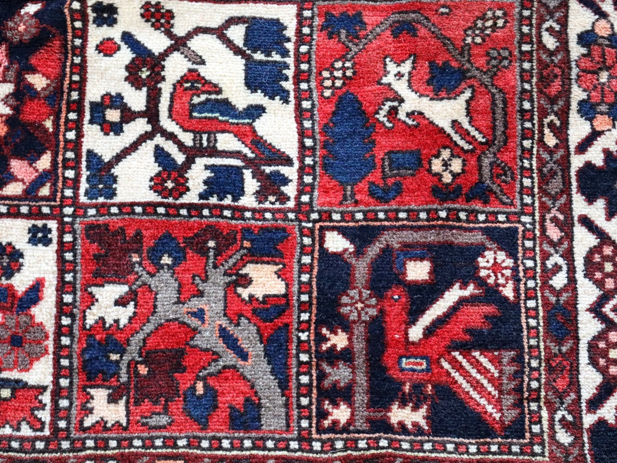 Persian Bakhtiari Rug | 5' 1" x 9' 6" - Rug the Rock - available