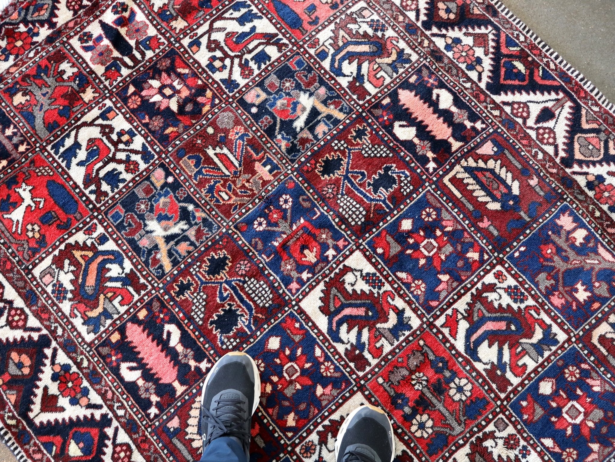 Persian Bakhtiari Rug | 5' 1" x 9' 6" - Rug the Rock - available