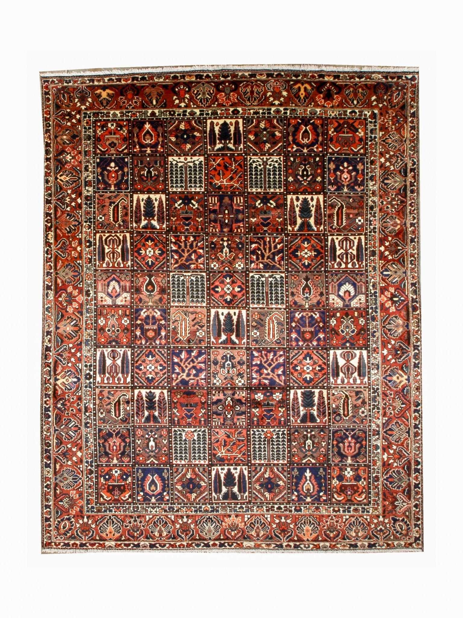 Persian Bakhtiari Rug | 9' 9" x 12' 2" - Rug the Rock - availableBakhtiariHand-knotted
