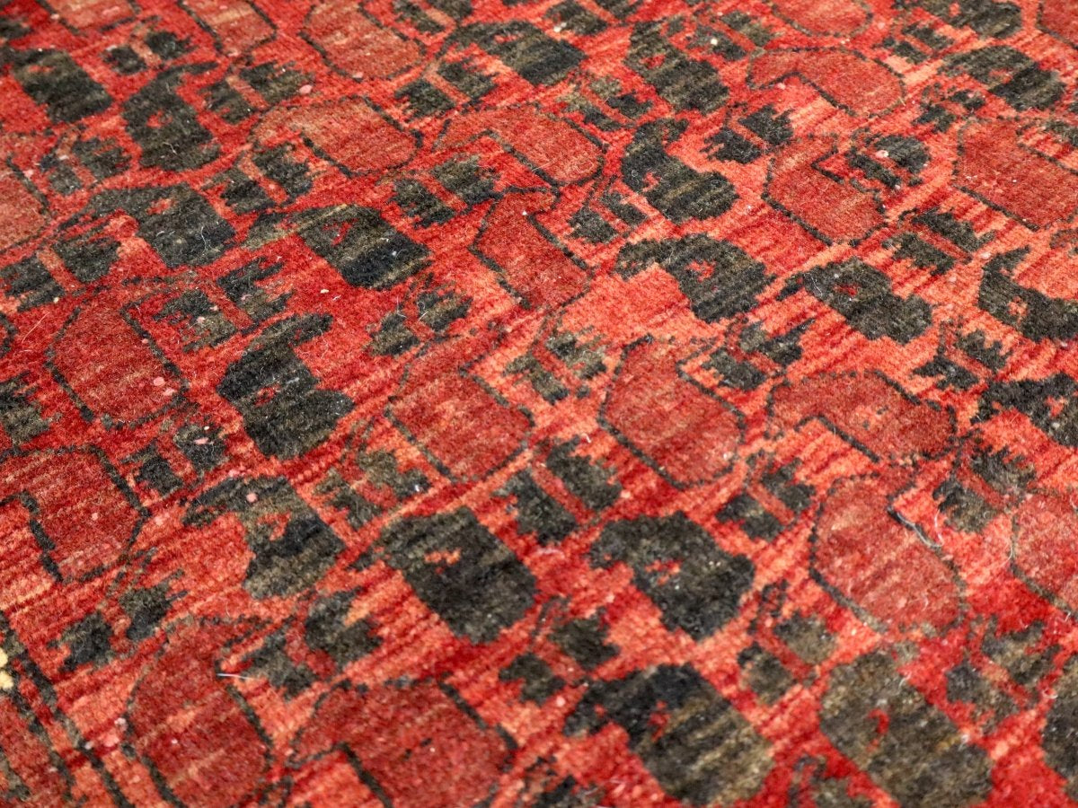 Persian Baluch Rug | 2' 10" x 5' 4" - Rug the Rock - Medium Rugs | 3' 6' x 4' x 7'