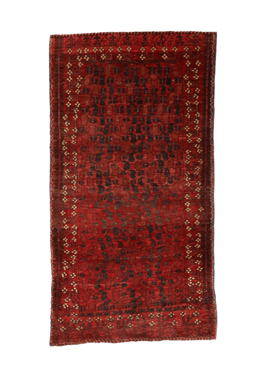 Persian Baluch Rug | 2' 10" x 5' 4" - Rug the Rock - Medium Rugs | 3' 6' x 4' x 7'