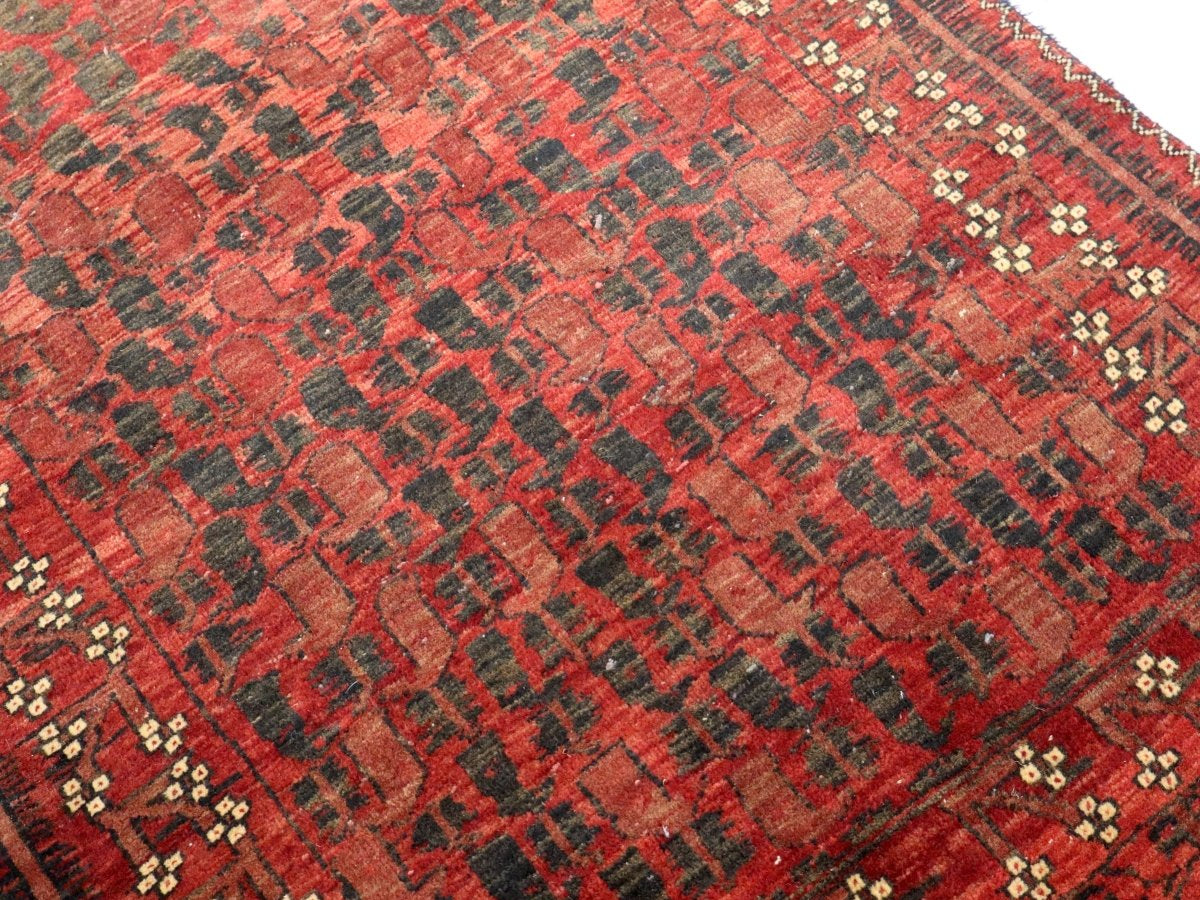 Persian Baluch Rug | 2' 10" x 5' 4" - Rug the Rock - Medium Rugs | 3' 6' x 4' x 7'