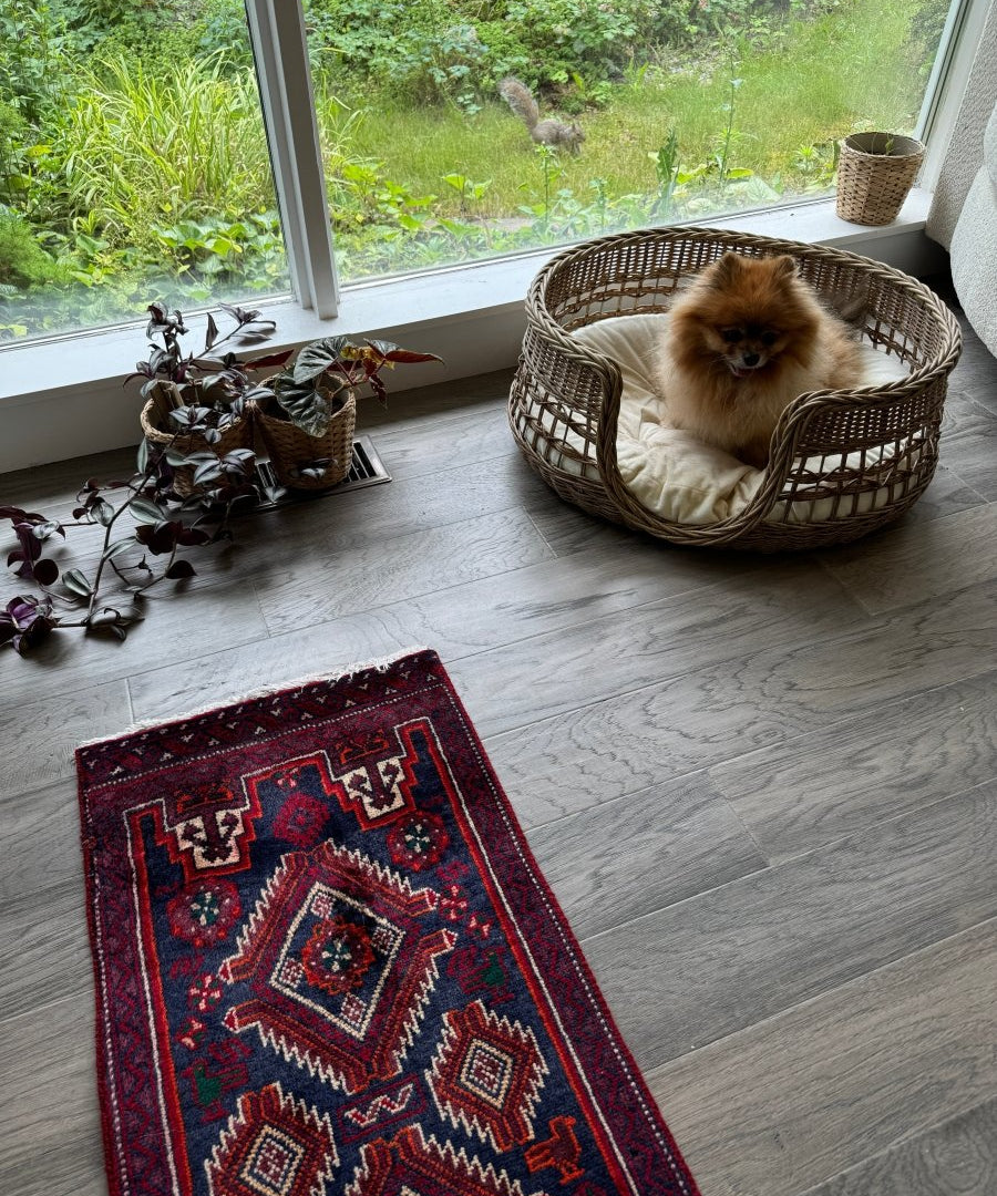 Persian Baluch runner rug laid on wood floor; dark navy field with red geometric diamonds and fringe.