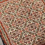 Persian Bidjar rug top view close-up with cream background and red border stripes.
