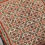 Persian Bidjar rug top view close-up with cream background and red border stripes.