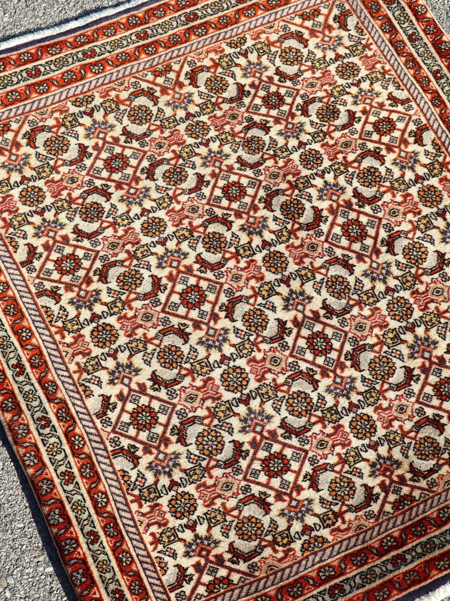 Persian Bidjar rug top view close-up with cream background and red border stripes.