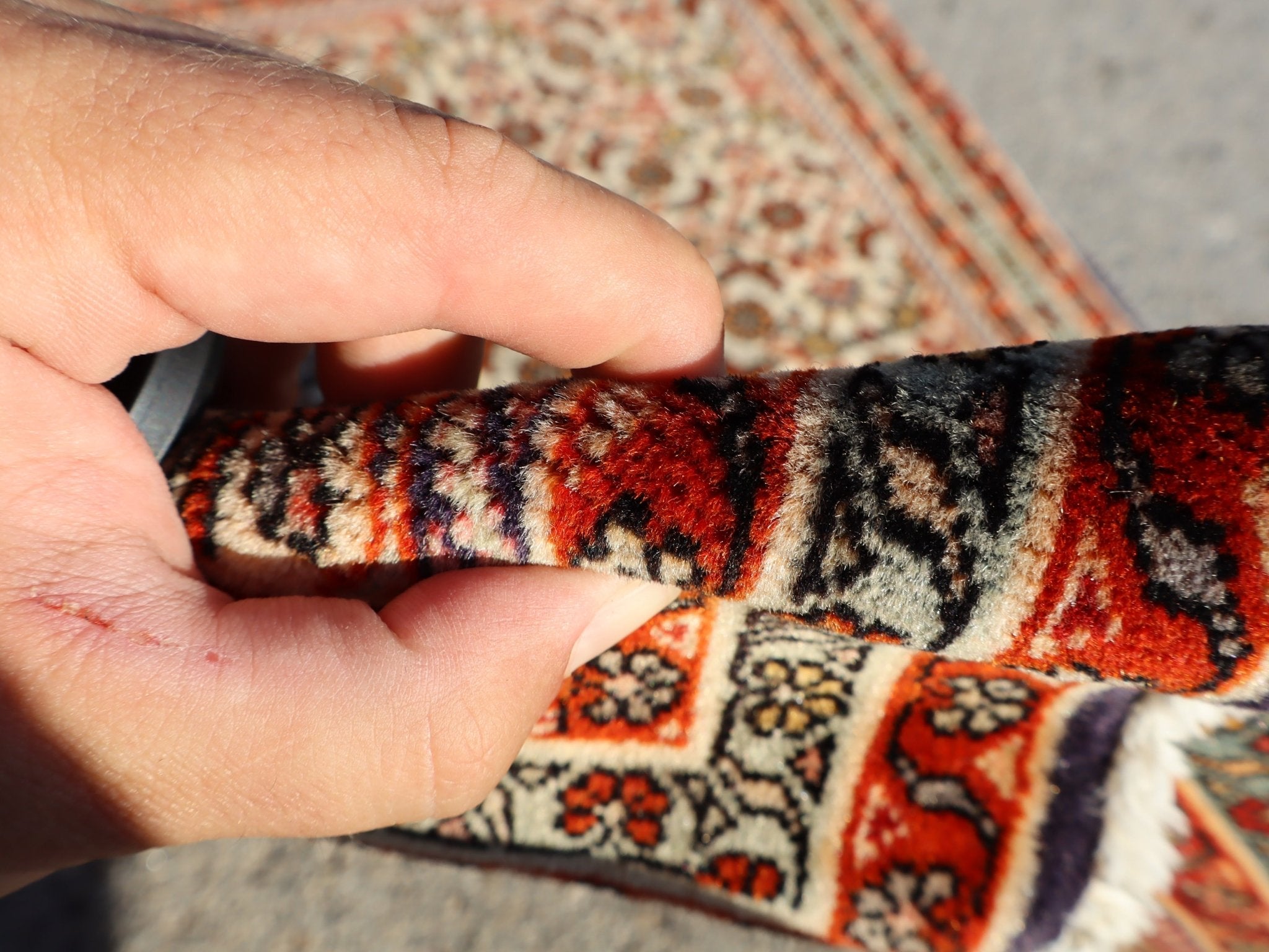 Persian Bidjar rug close-up with patterned pile and red-and-cream design details.