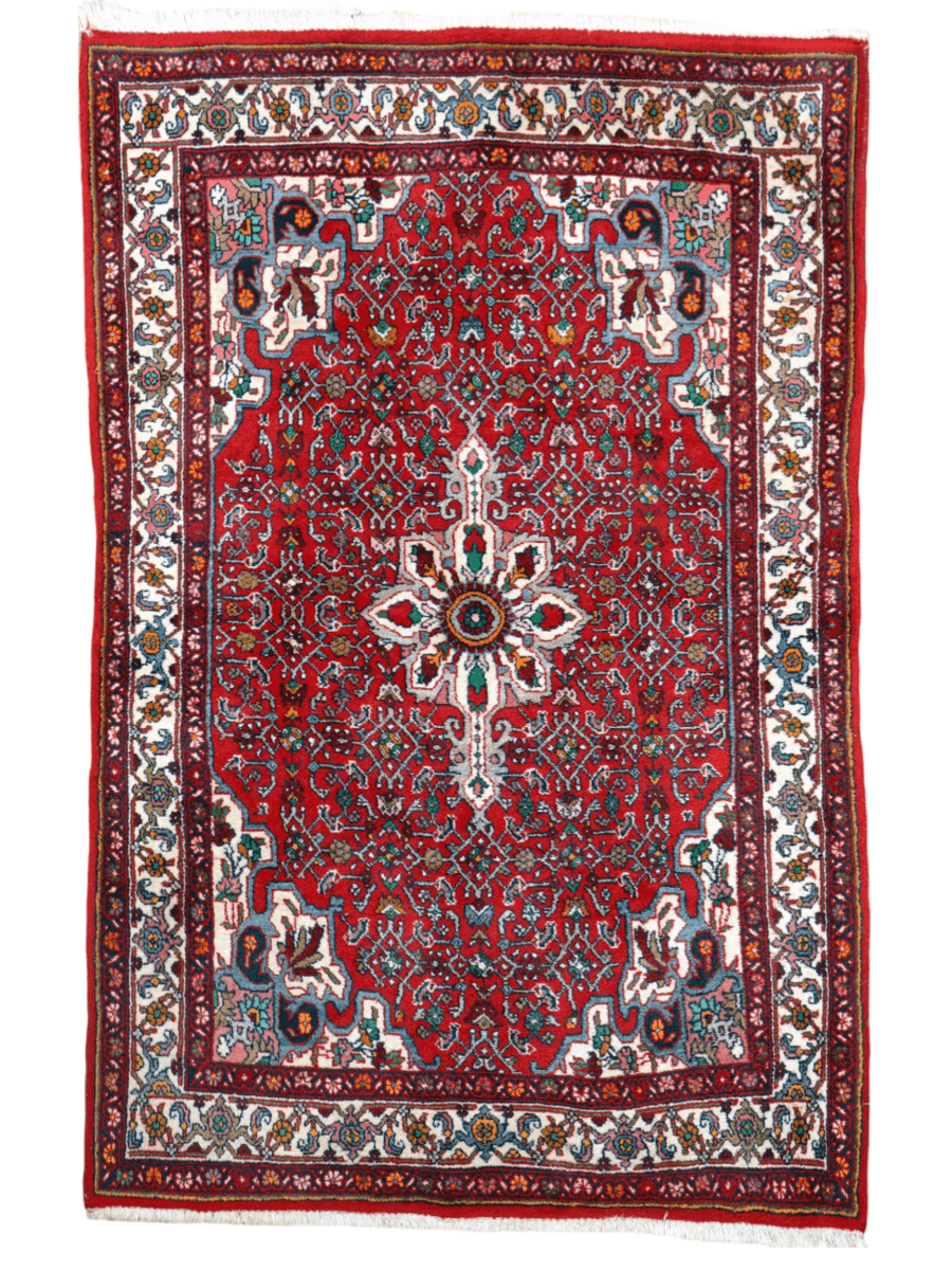 Persian Bidjar Rug | 3' 5" x 5' 3" - Rug the Rock - 