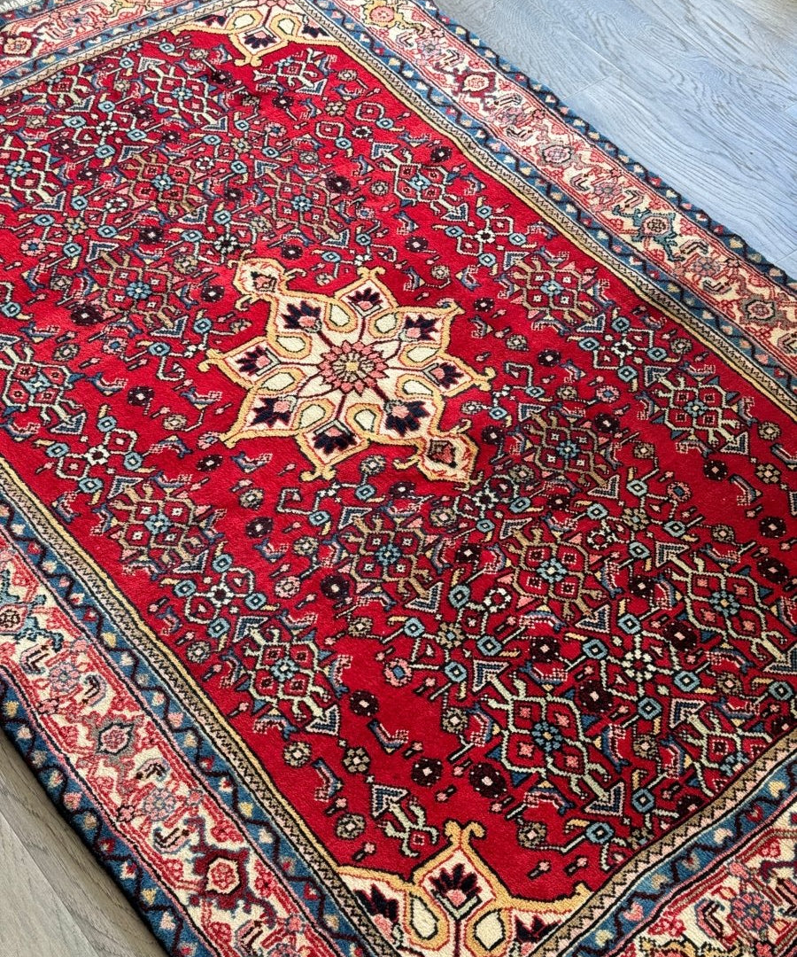 Persian Bidjar rug corner view with red center, cream motifs, and blue border stripes.