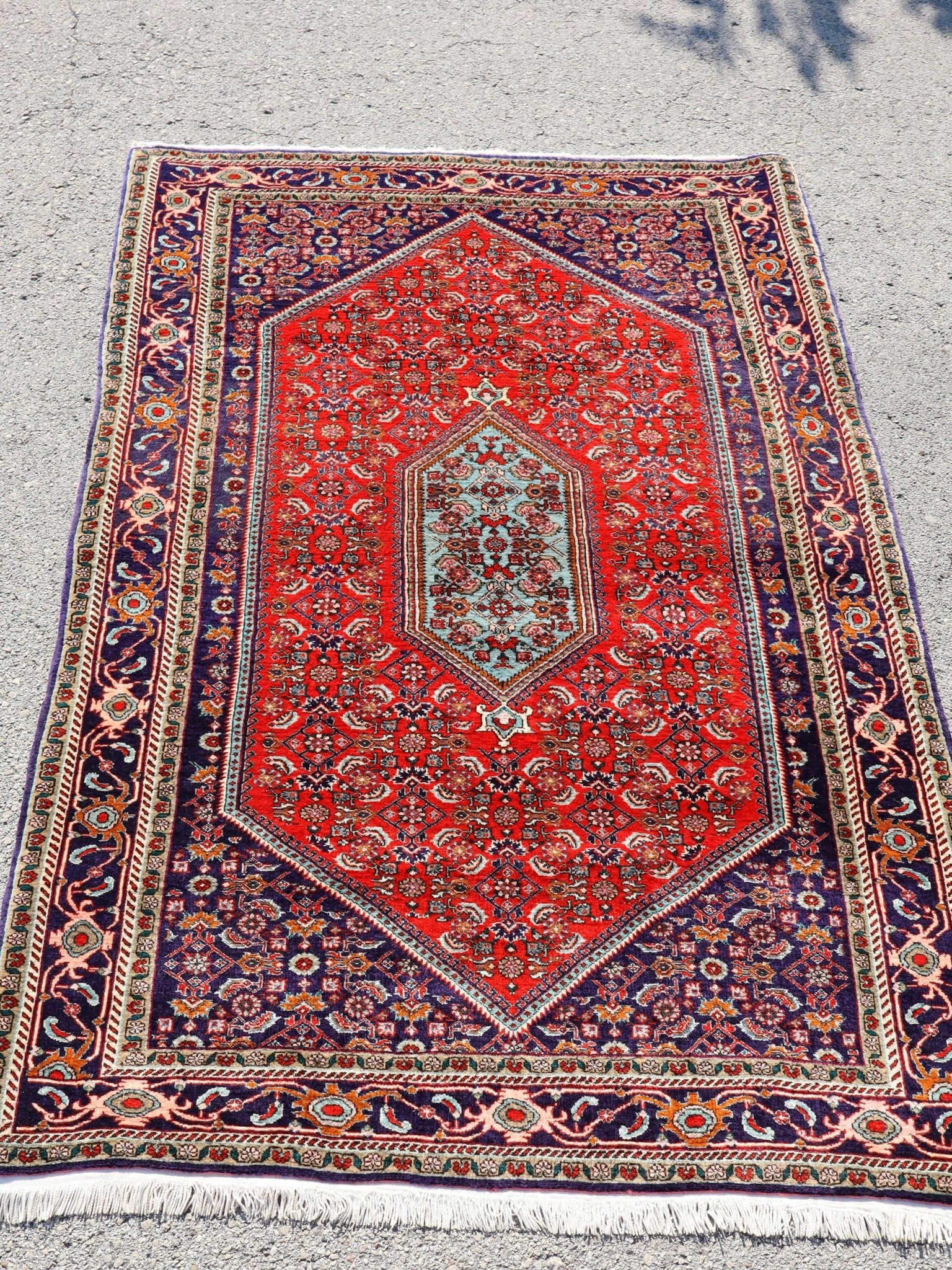Persian Bidjar Rug | 3' 9" x 5' 7" - Rug the Rock - available