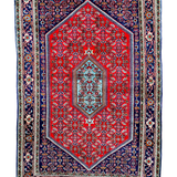 Persian Bidjar Rug | 3' 9" x 5' 7" - Rug the Rock - available