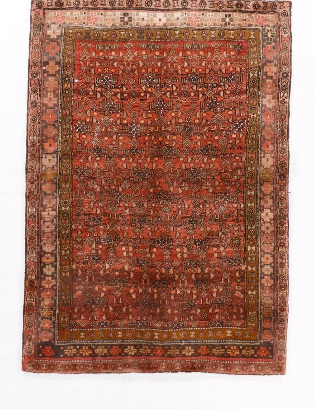 Persian Bidjar Rug | 4' 2" x 5' 9" - Rug the Rock - 