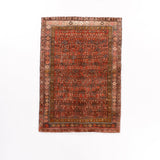 Persian Bidjar Rug | 4' 2" x 5' 9" - Rug the Rock - 