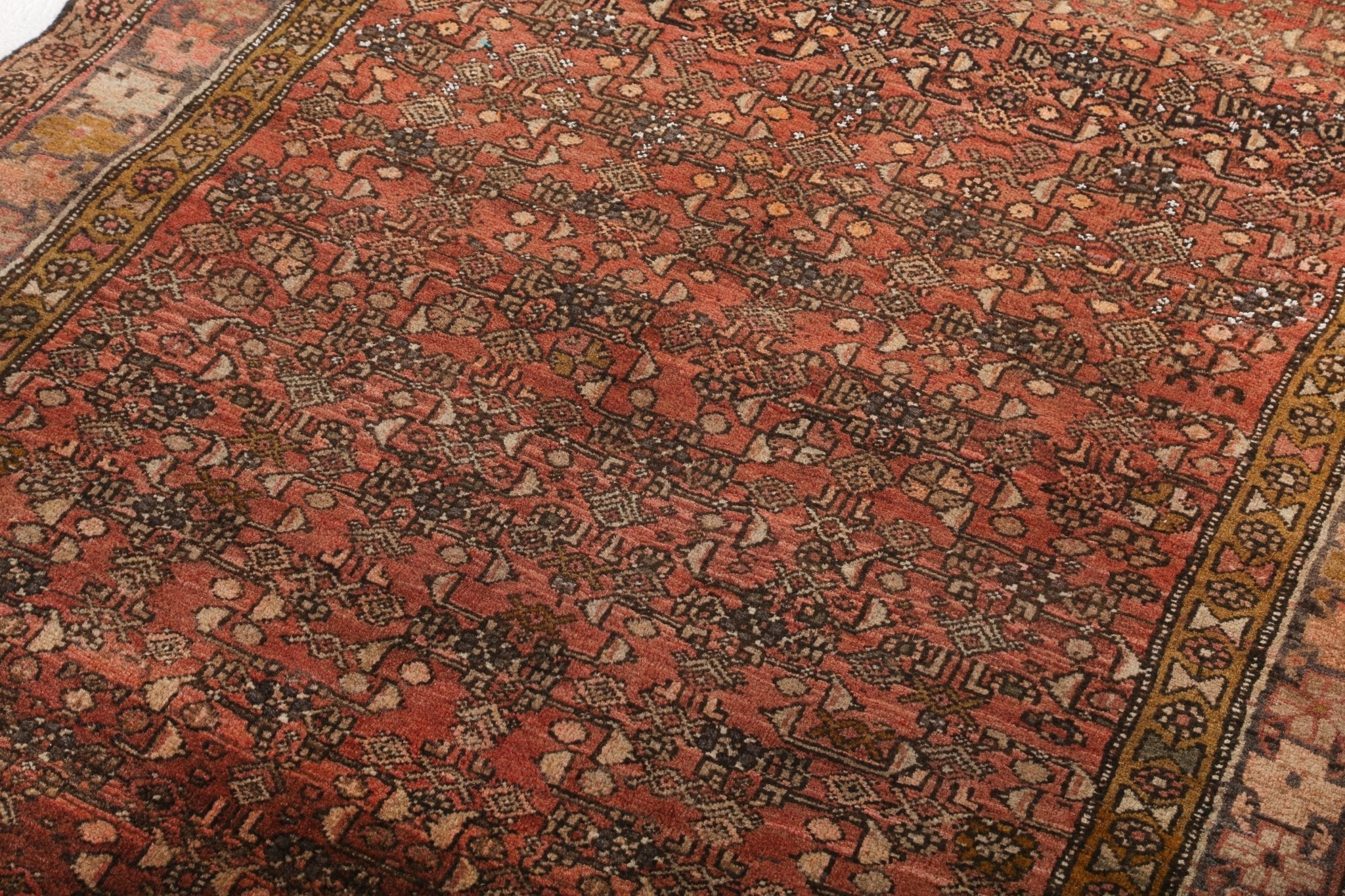 Persian Bidjar Rug | 4' 2" x 5' 9" - Rug the Rock - 