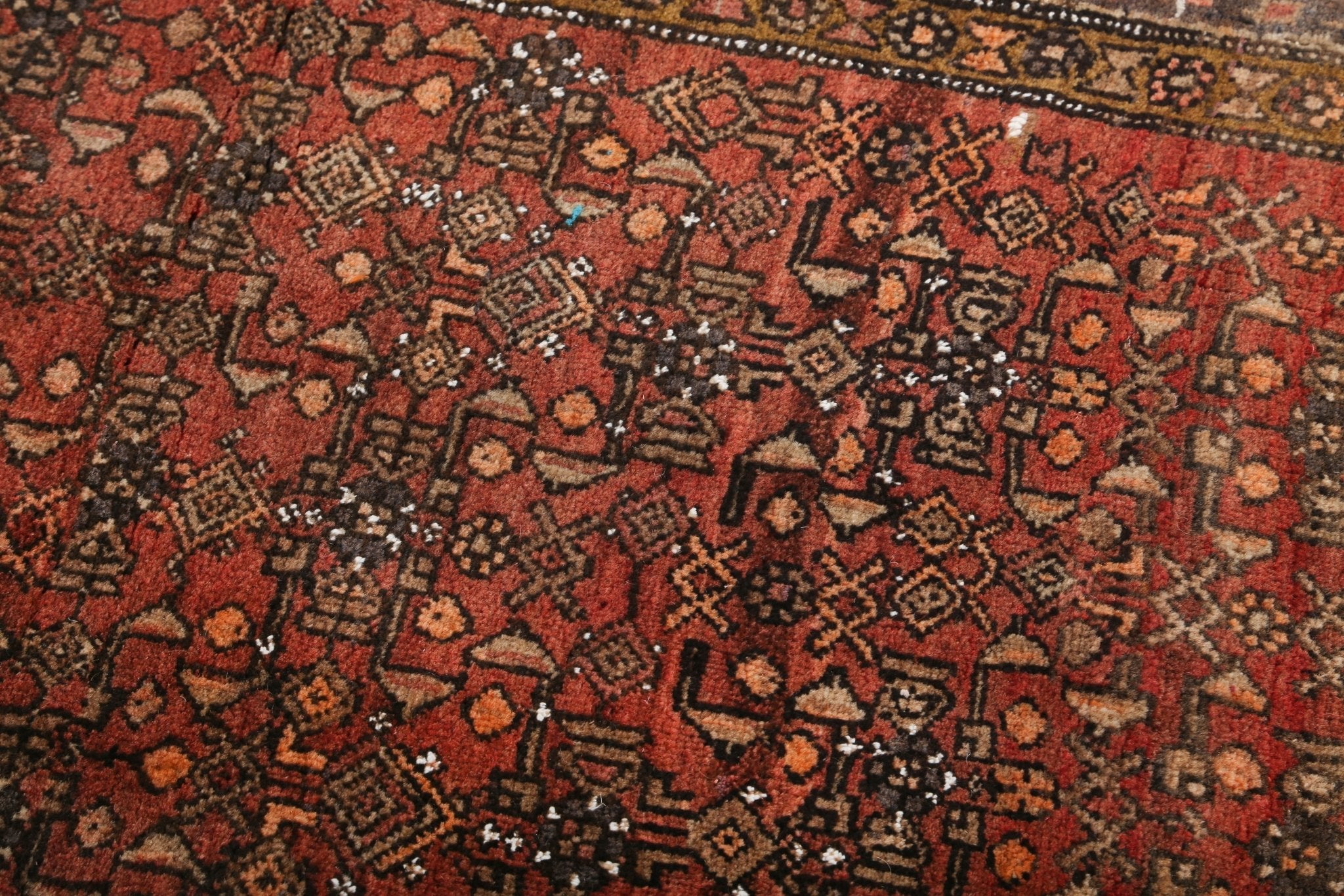 Persian Bidjar Rug | 4' 2" x 5' 9" - Rug the Rock - 