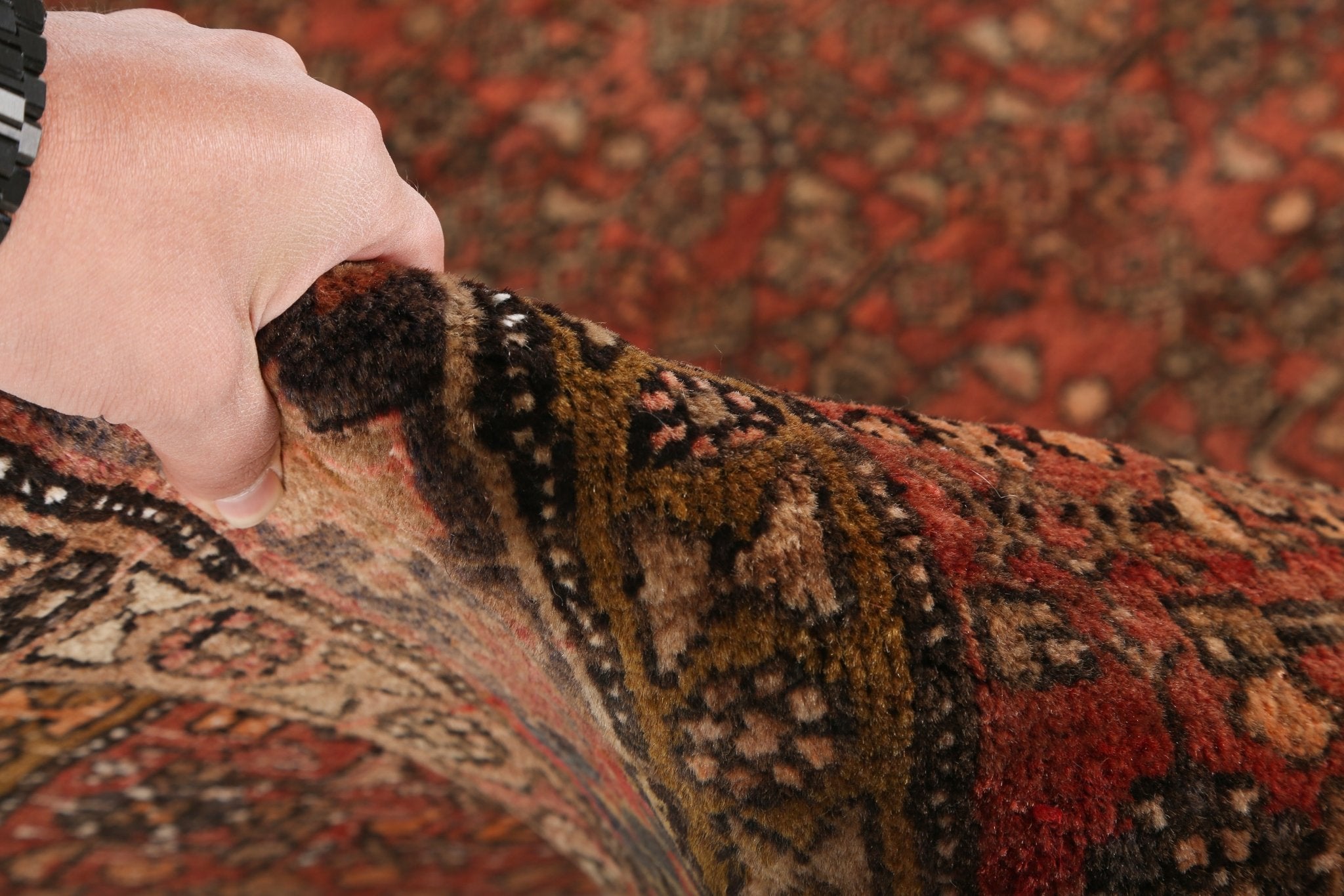 Persian Bidjar Rug | 4' 2" x 5' 9" - Rug the Rock - 