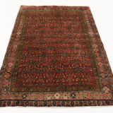 Persian Bidjar Rug | 4' 2" x 5' 9" - Rug the Rock - 