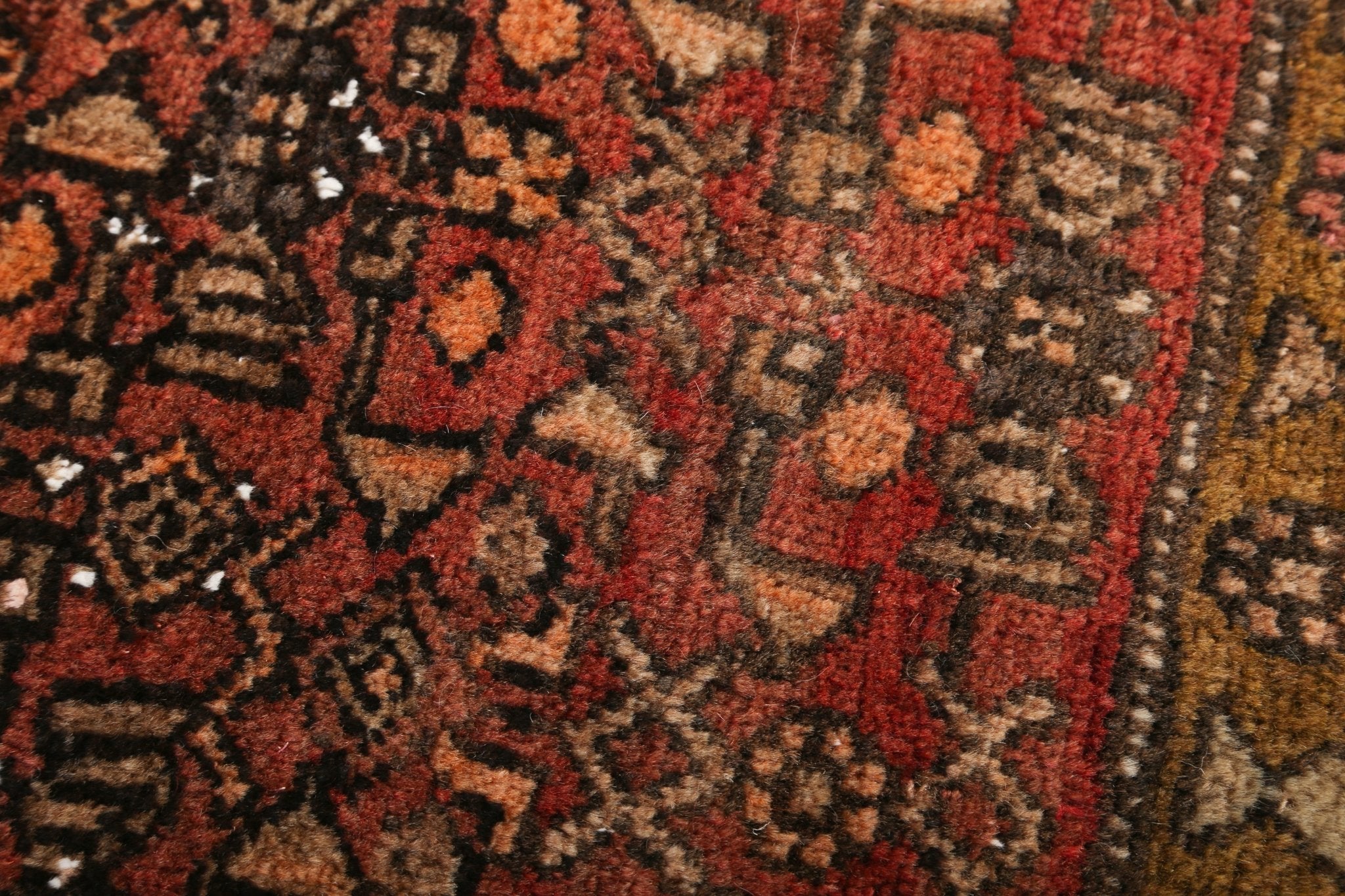 Persian Bidjar Rug | 4' 2" x 5' 9" - Rug the Rock - 