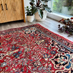 Persian Bidjar Rug | 5' 1" x 9' 2" - Rug the Rock