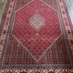 Persian Bidjar Rug | 6' 5" x 9' 9" - Rug the Rock