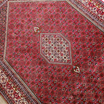 Persian Bidjar Rug | 6' 5" x 9' 9" - Rug the Rock