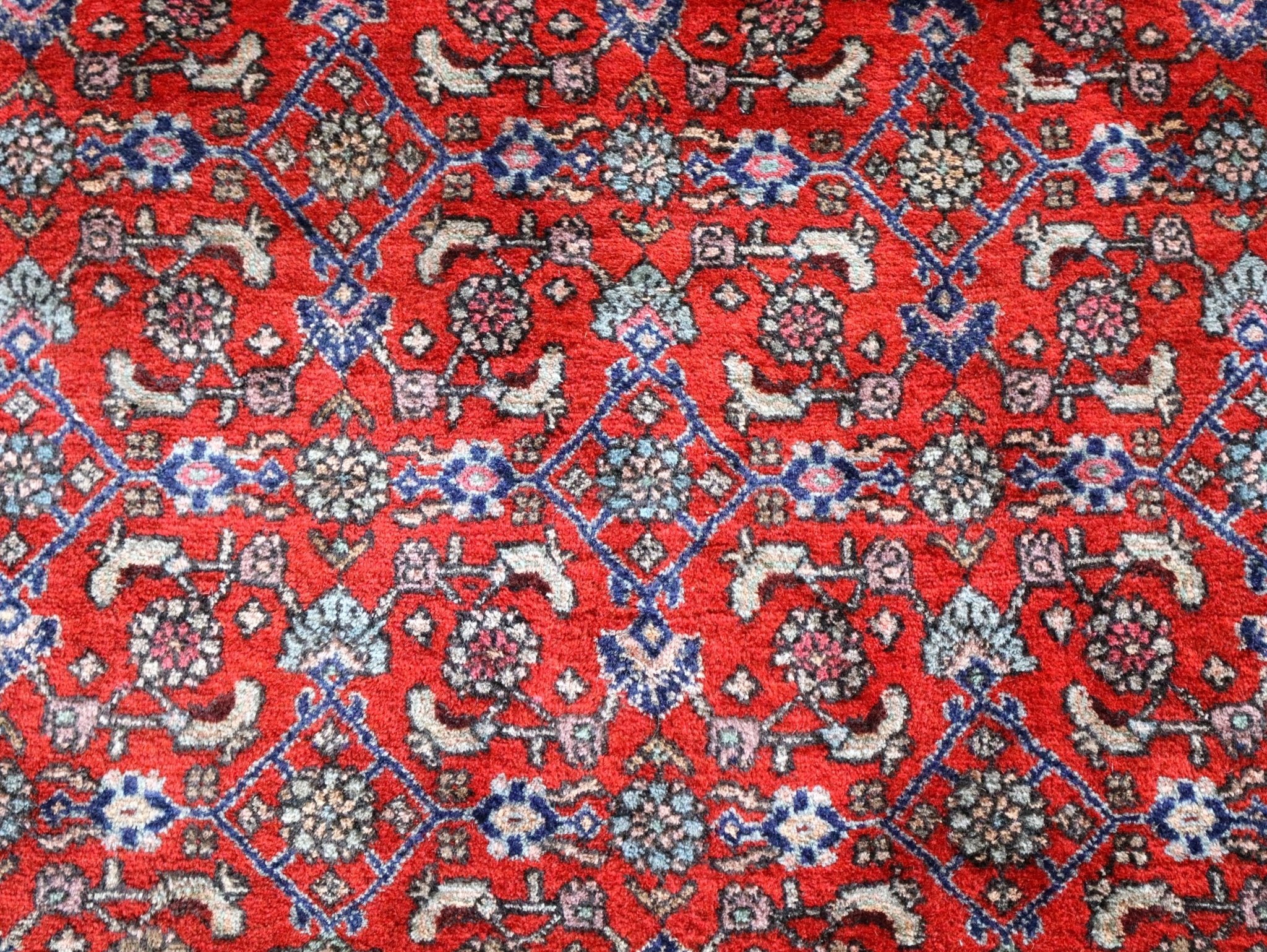 Persian Bidjar Rug | 8' 7" x 11' 10" - Rug the Rock - available