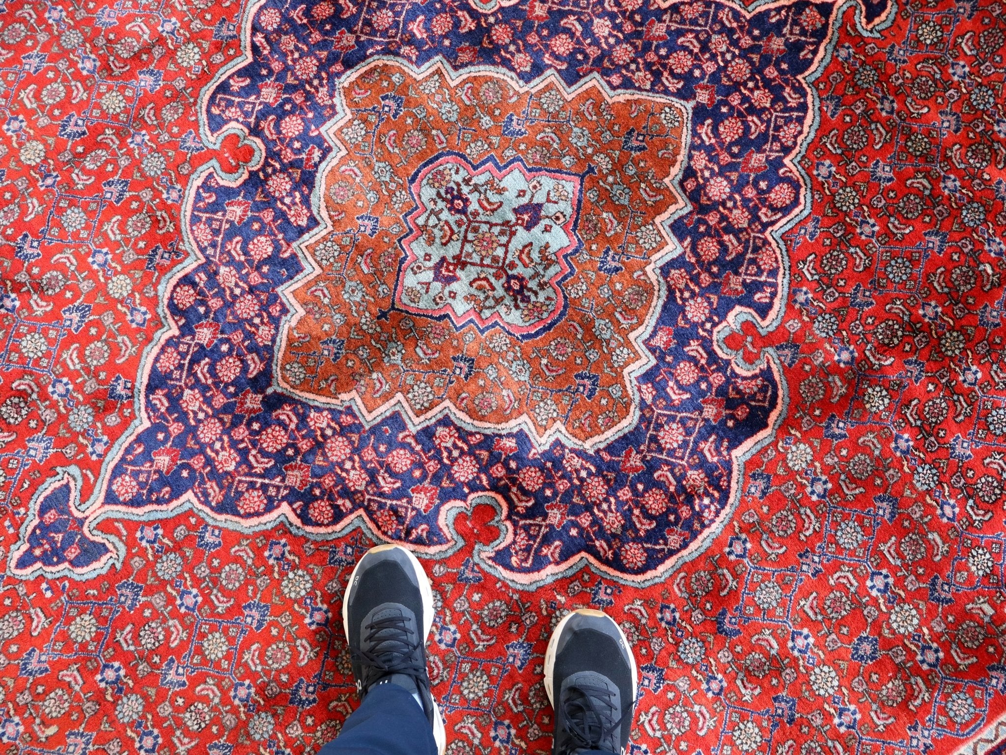 Persian Bidjar Rug | 8' 7" x 11' 10" - Rug the Rock - available