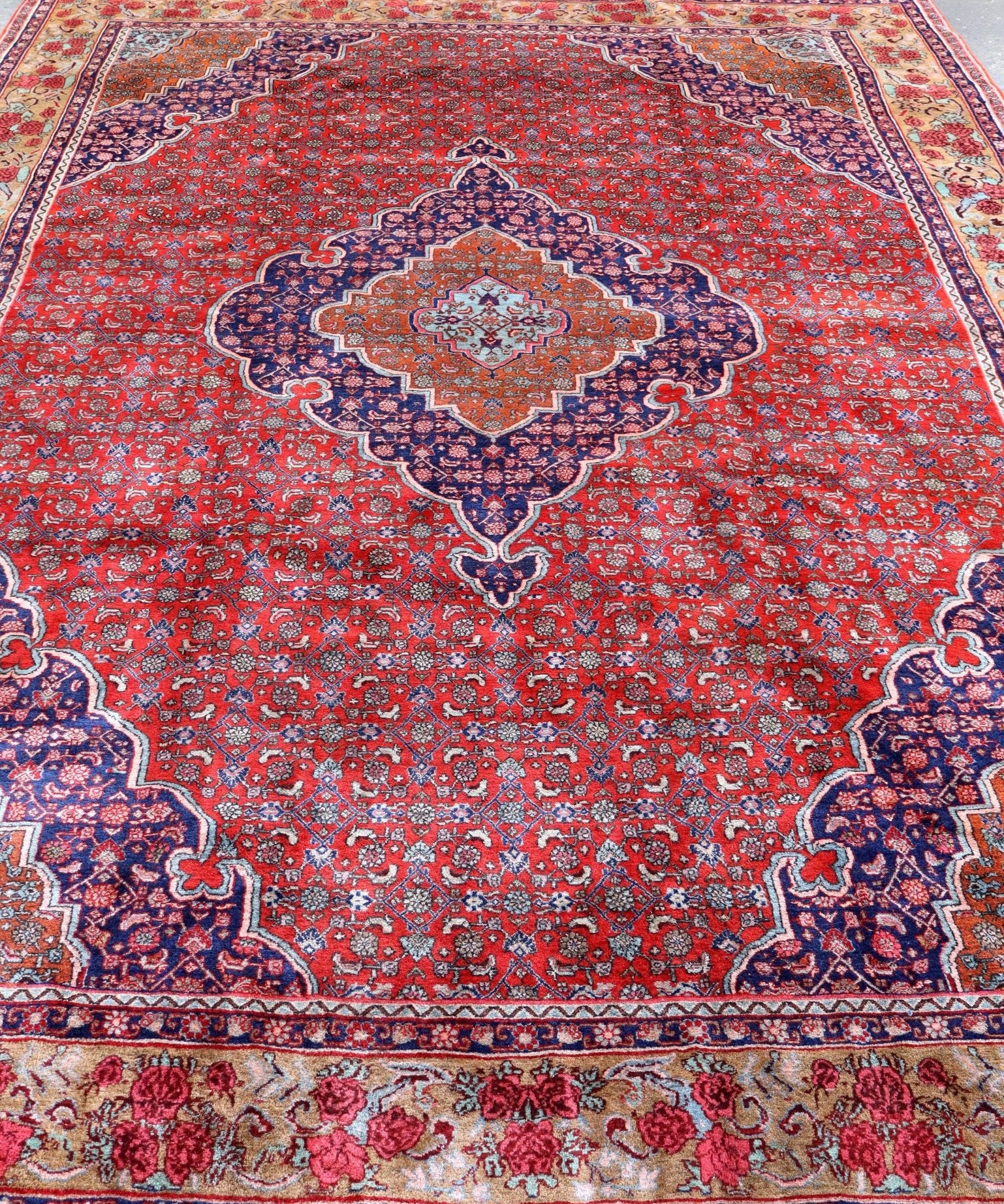 Bidjar rug top view: red allover pattern, blue center medallion, cream and gold border