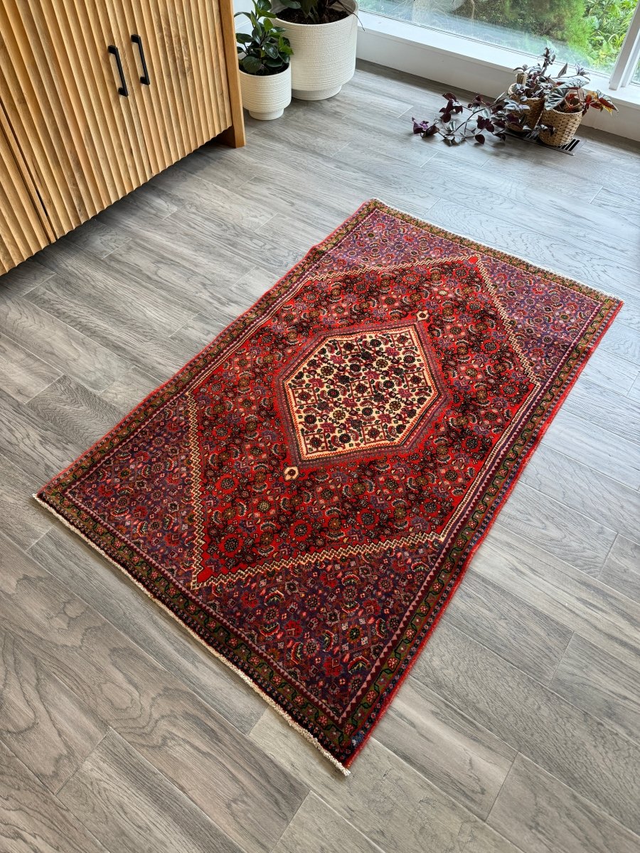 Persian Bijar Rug | 2' 9" x 4' 7" - Rug the Rock