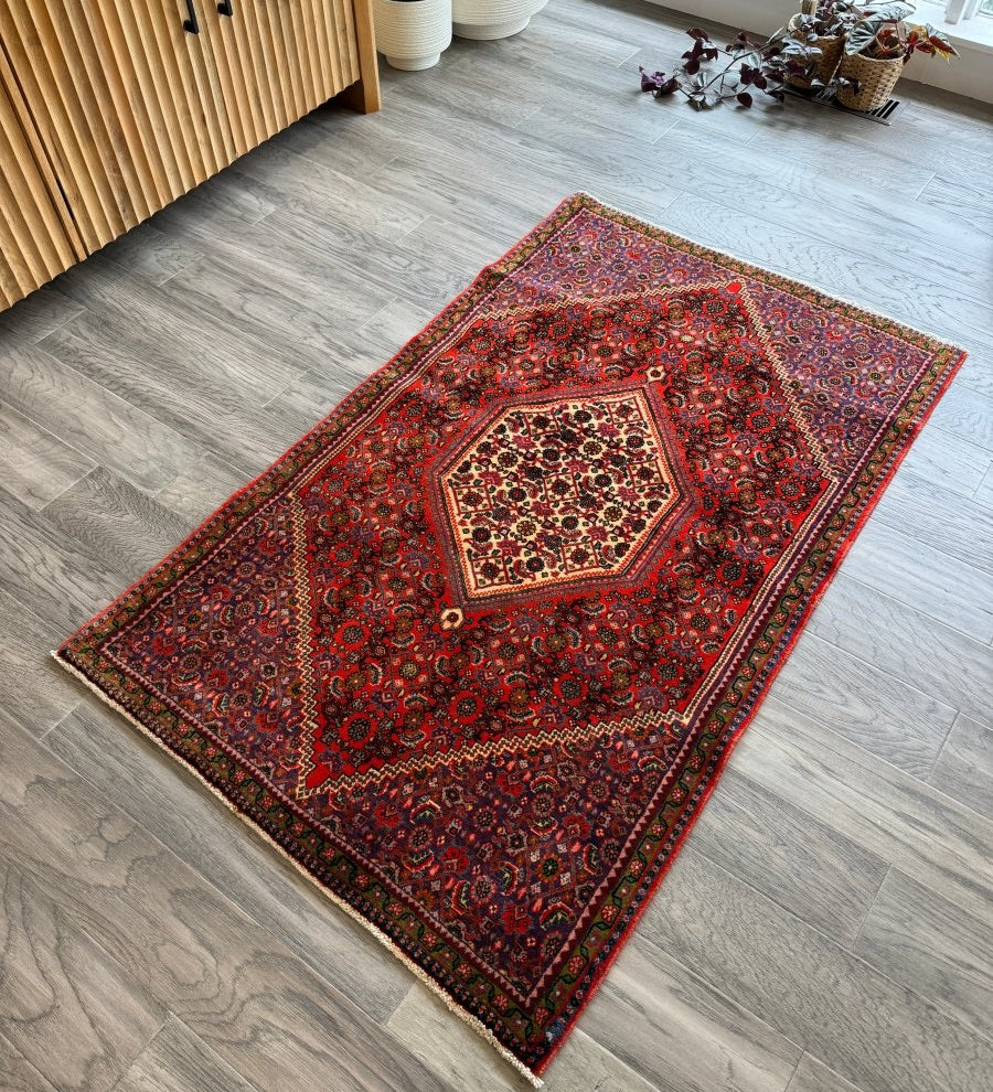 Persian Bijar Rug | 2' 9" x 4' 7" - Rug the Rock