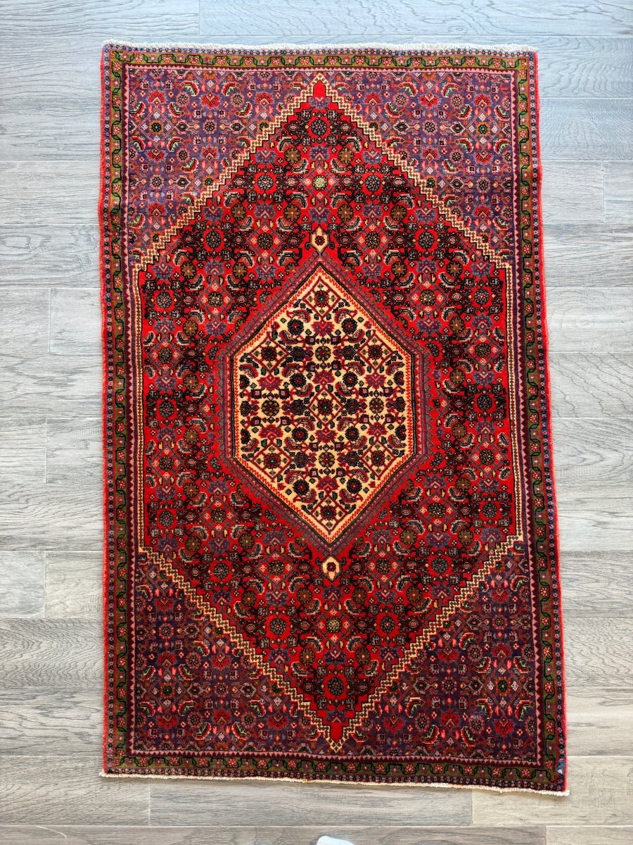 Persian Bijar Rug | 2' 9" x 4' 7" - Rug the Rock