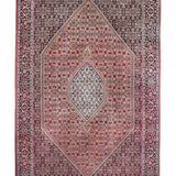 Persian Bijar Rug | 6' 7" x 10' 2" - Rug the Rock - 6 x 97 x 10Bidjar Rugs