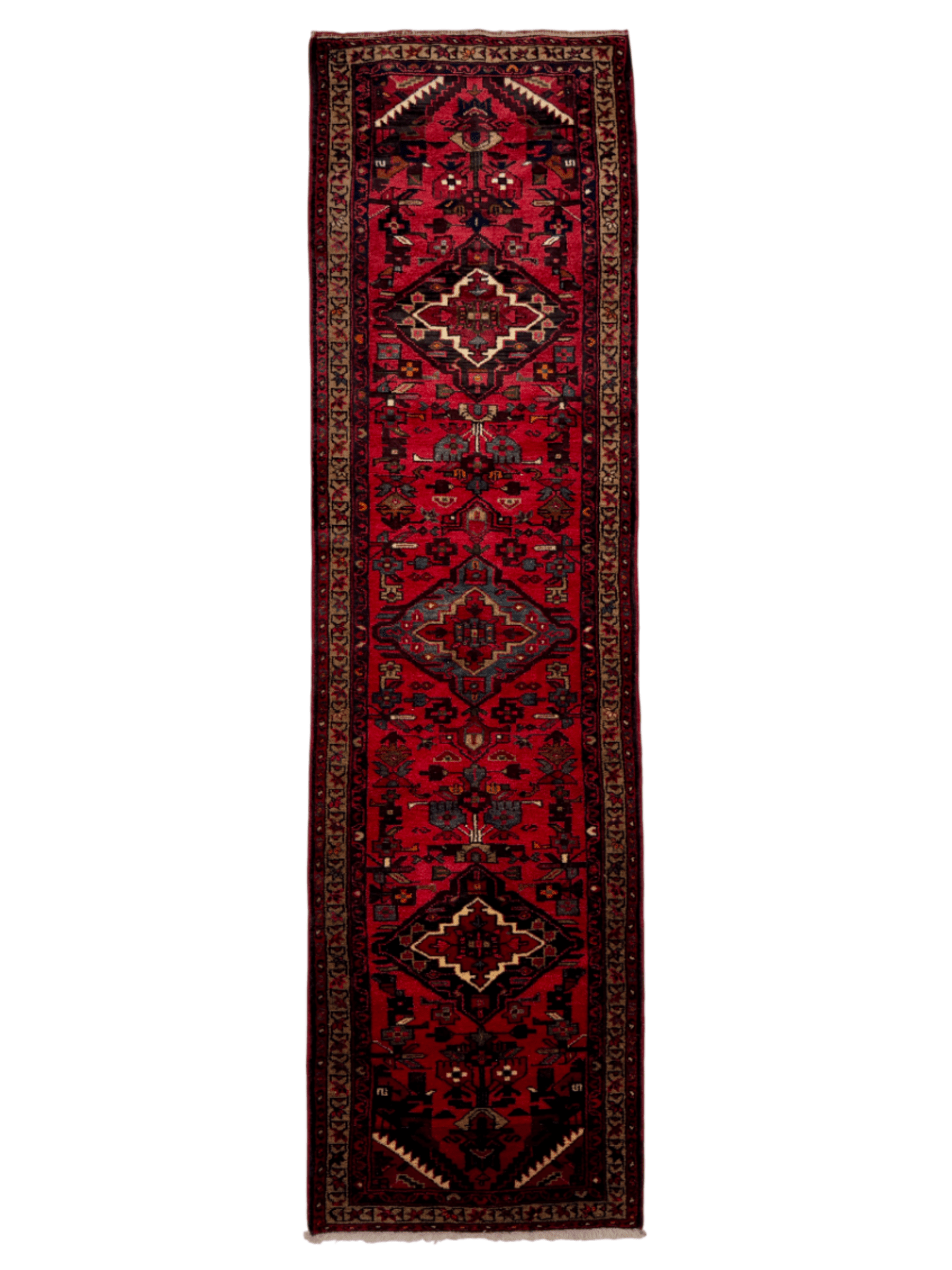 Persian Hamadan Runner Rug | 2' 8" x 9' 6" - Rug the Rock - 