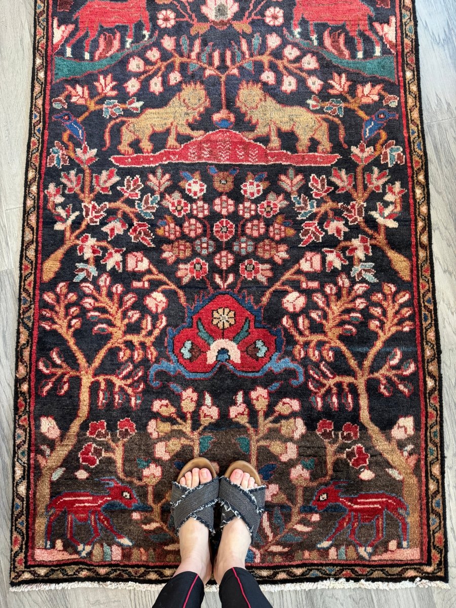 Persian Hamadan Runner Rug | 3' 1" x 9' 5" - Rug the Rock