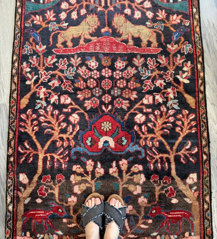 Persian Hamadan Runner Rug | 3' 1" x 9' 5" - Rug the Rock