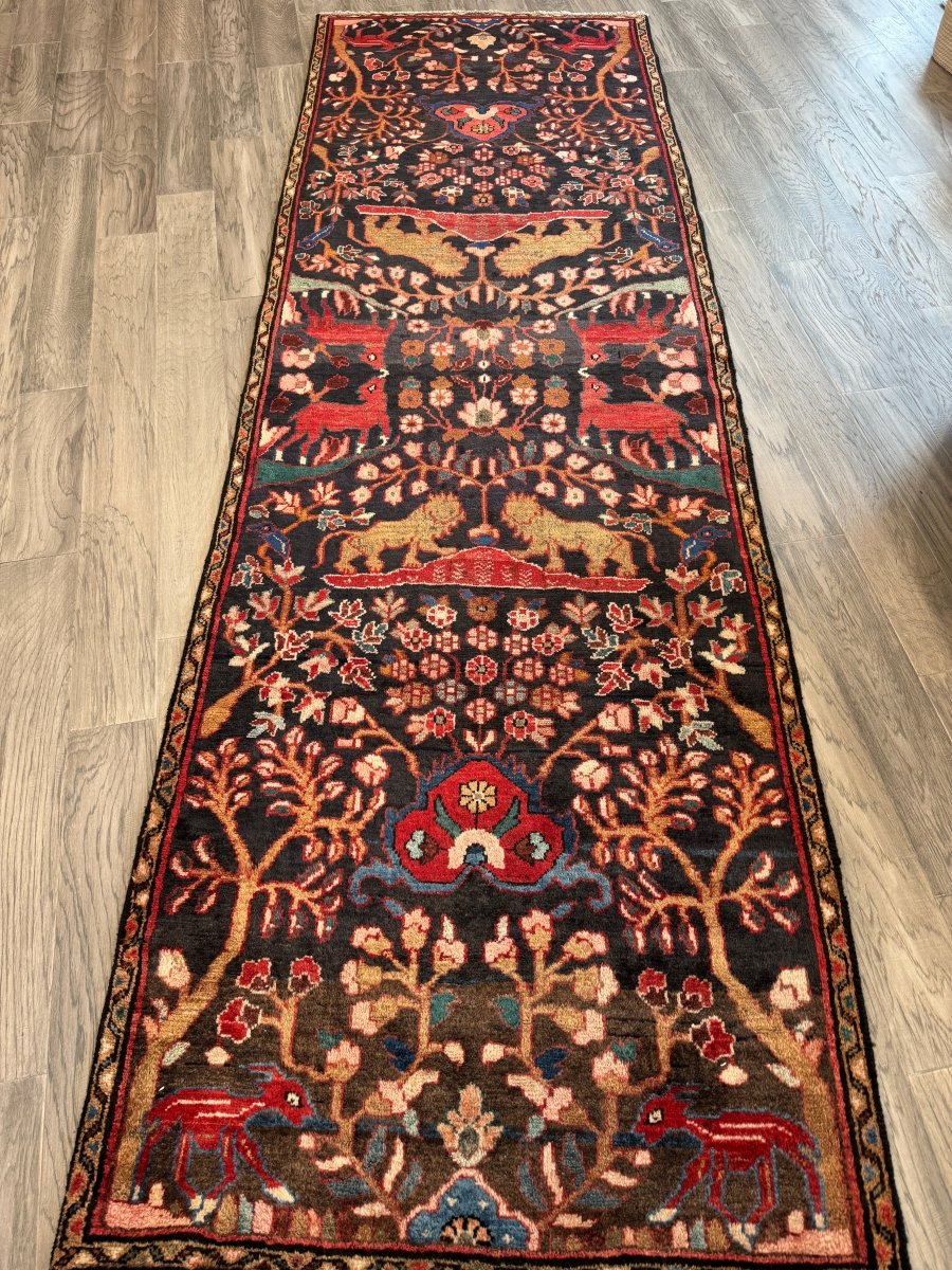 Persian Hamadan Runner Rug | 3' 1" x 9' 5" - Rug the Rock