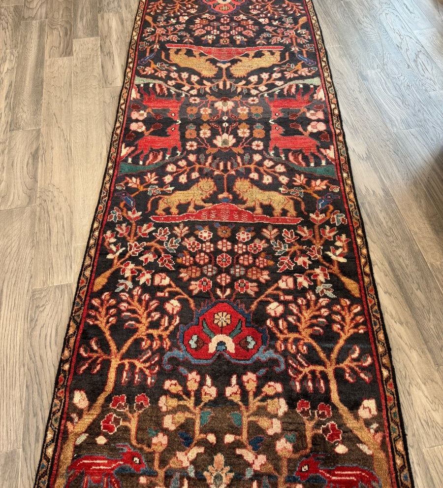 Persian Hamadan Runner Rug | 3' 1" x 9' 5" - Rug the Rock