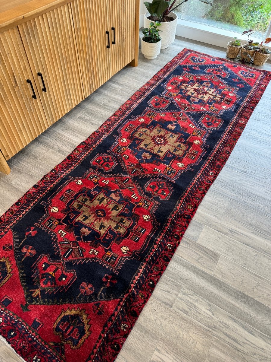 Persian Hamadan Runner Rug | 3' 3" x 9' 10" - Rug the Rock