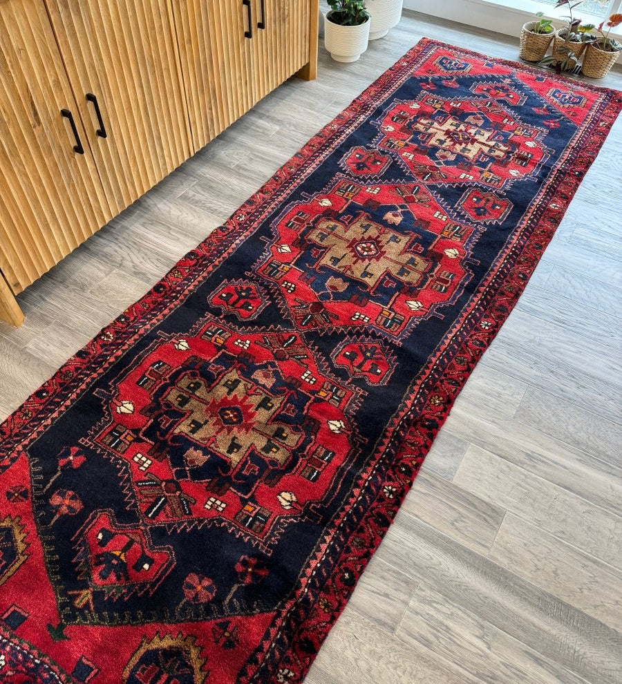 Persian Hamadan Runner Rug | 3' 3" x 9' 10" - Rug the Rock