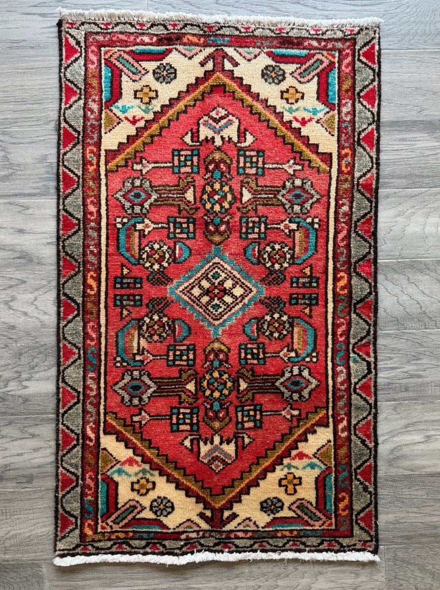 Persian Hamedan Rug | 1' 10" x 3' 1" - Rug the Rock