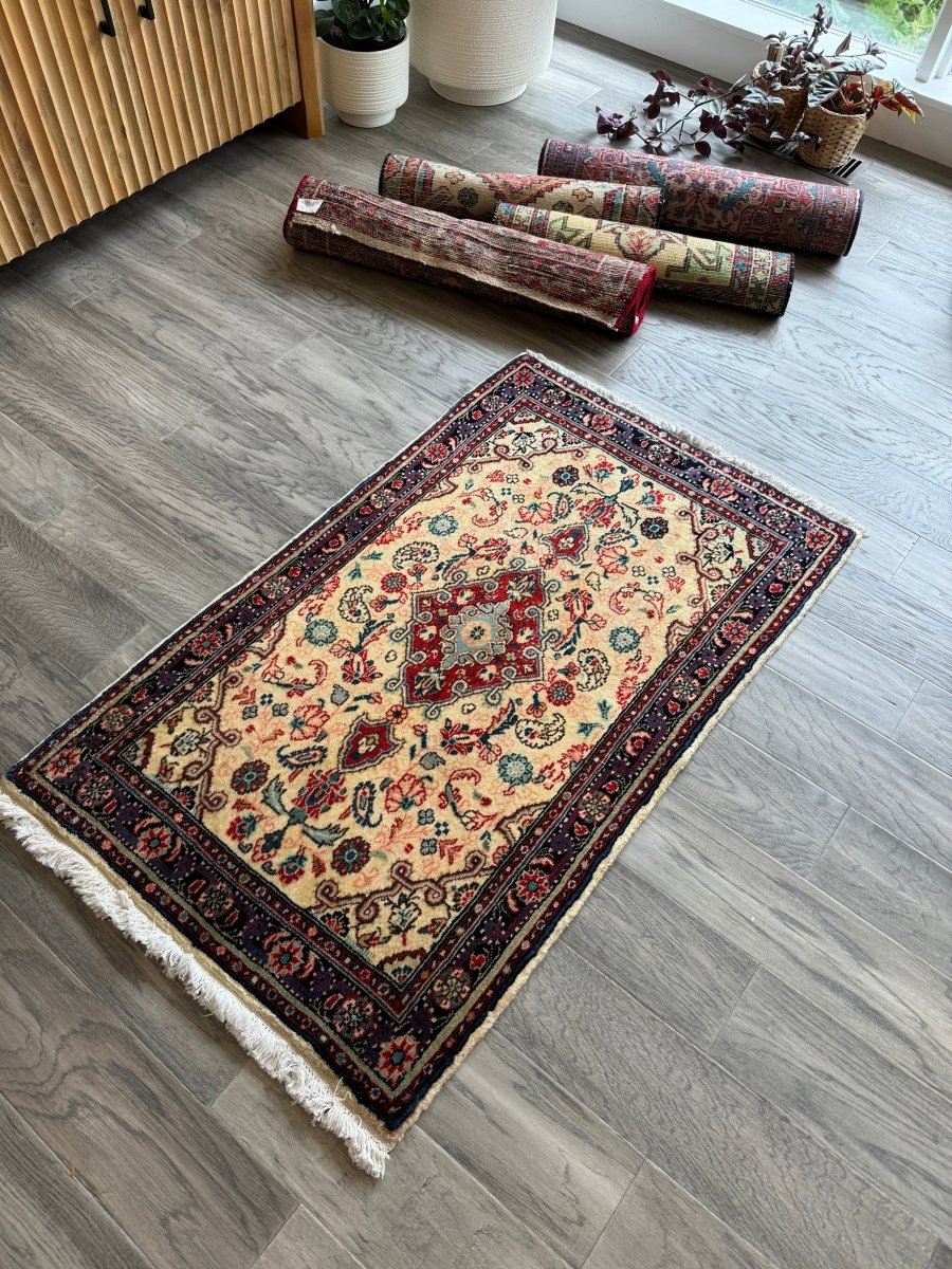 Persian Hamedan Rug | 2' 3" x 3' 8" - Rug the Rock