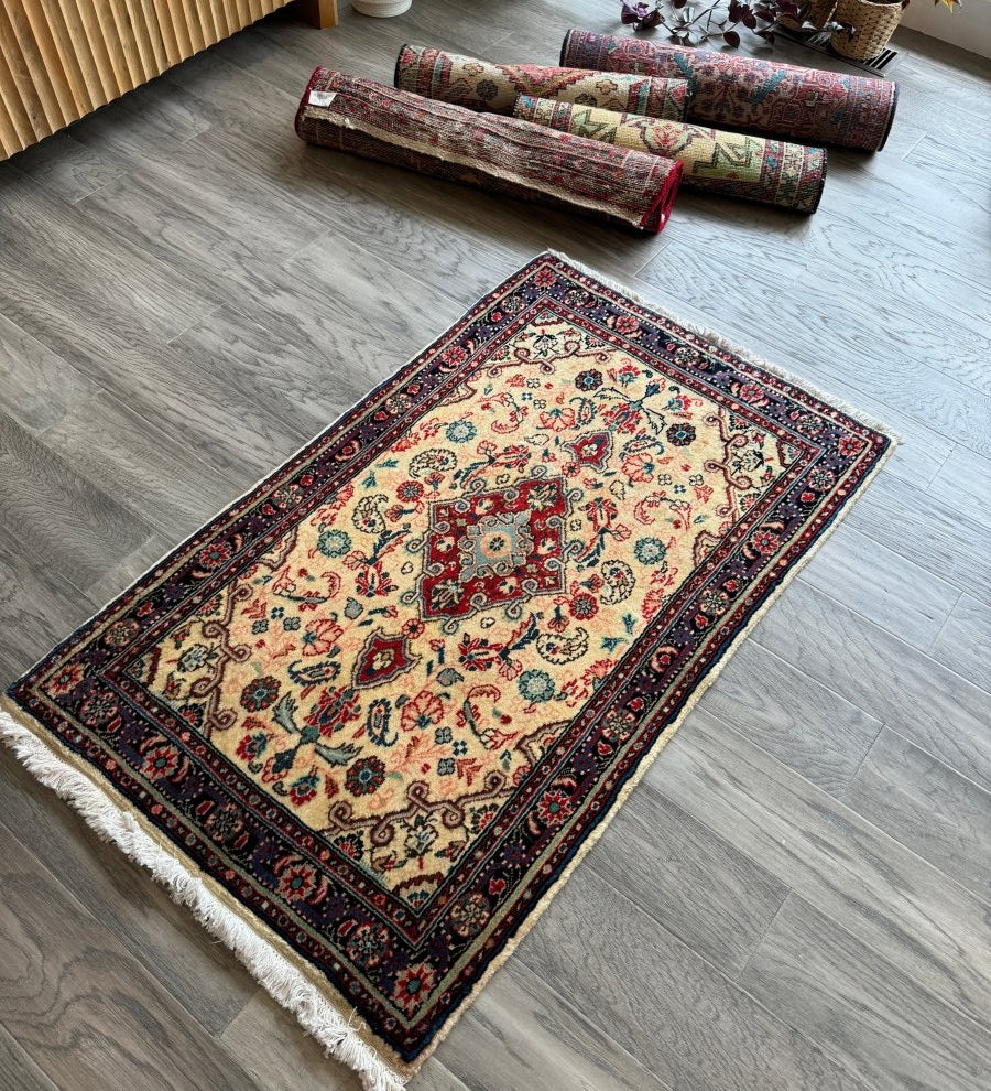 Persian Hamedan Rug | 2' 3" x 3' 8" - Rug the Rock