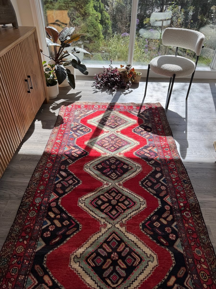 Persian Hamedan Rug | 3' 11" x 7' 1" - Rug the Rock