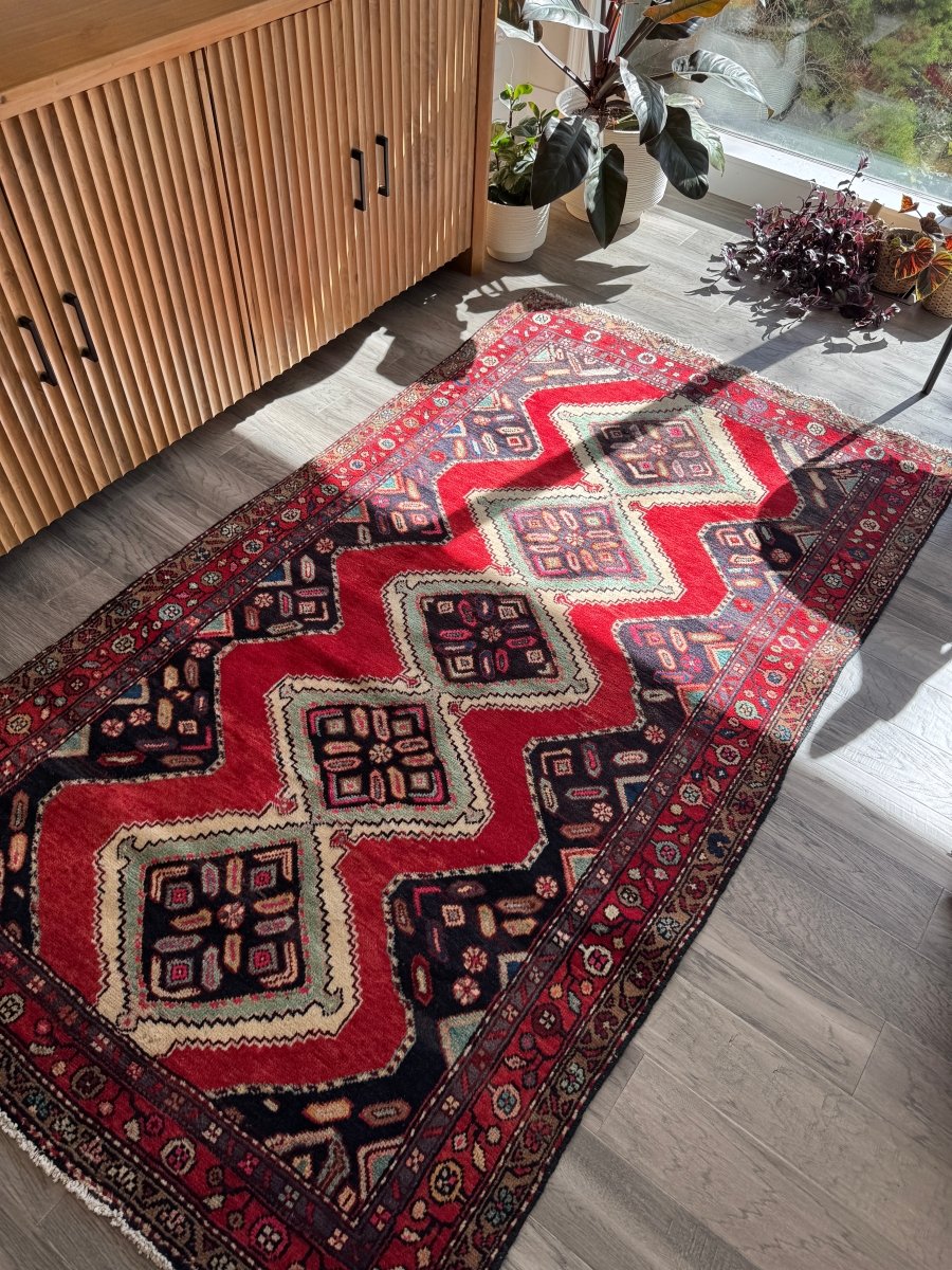 Persian Hamedan Rug | 3' 11" x 7' 1" - Rug the Rock